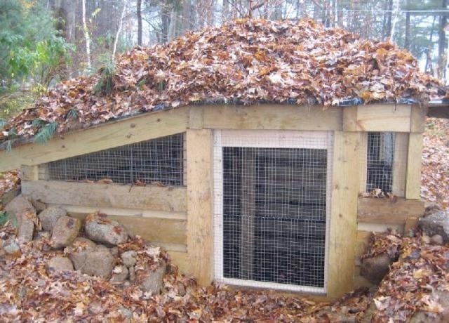 https://thepoultryguide.com/wp-content/uploads/2013/11/under-ground-chicken-coop.jpg