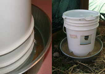 Bucket feeder and waterer