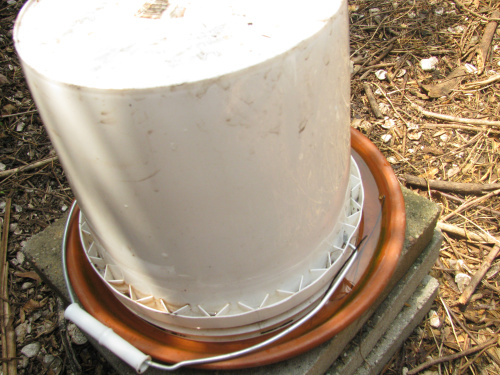 Container To A Waterer