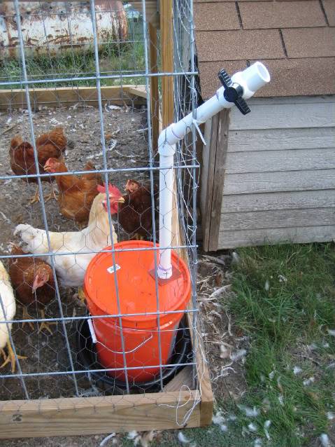 DIY chicken waterer