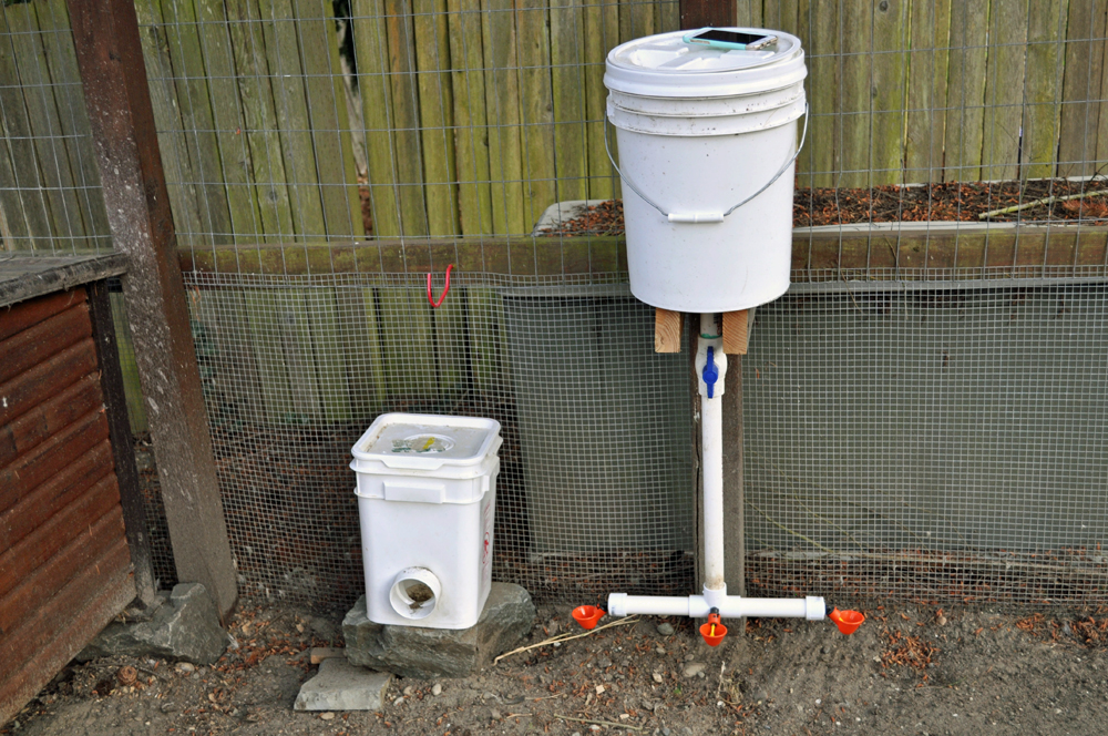 Five Gallon Bucket Chicken Feeder