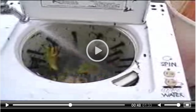 Washing Machine Whizbang Chicken Plucker