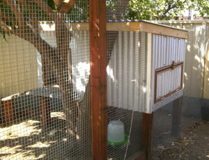 33 Homemade Chicken Coops-Build a Custom Version For Happy Hens – The ...