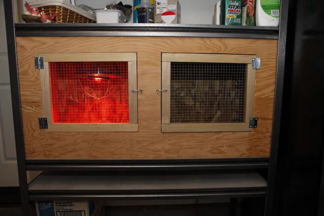 DIY Chick Brooder