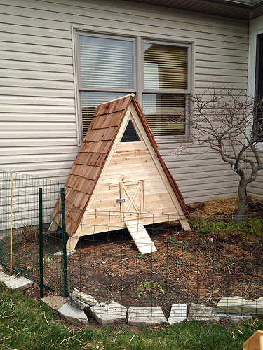 A Frame Duck House With Cedar Shingles