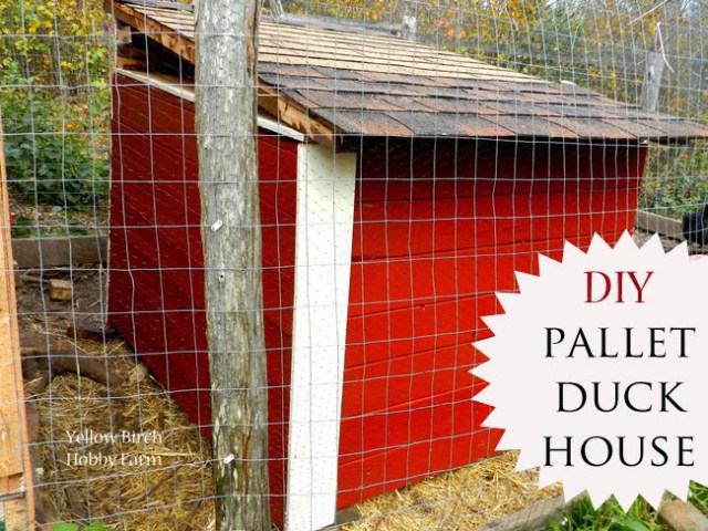 Pallet Duck House Ideas