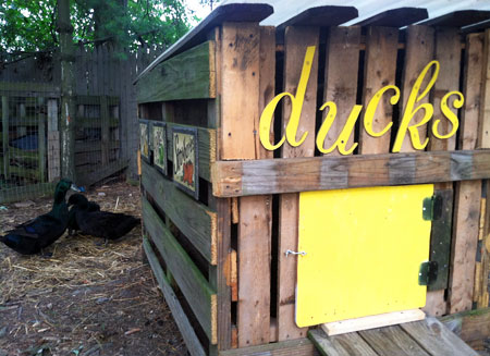 Pallet Duck House