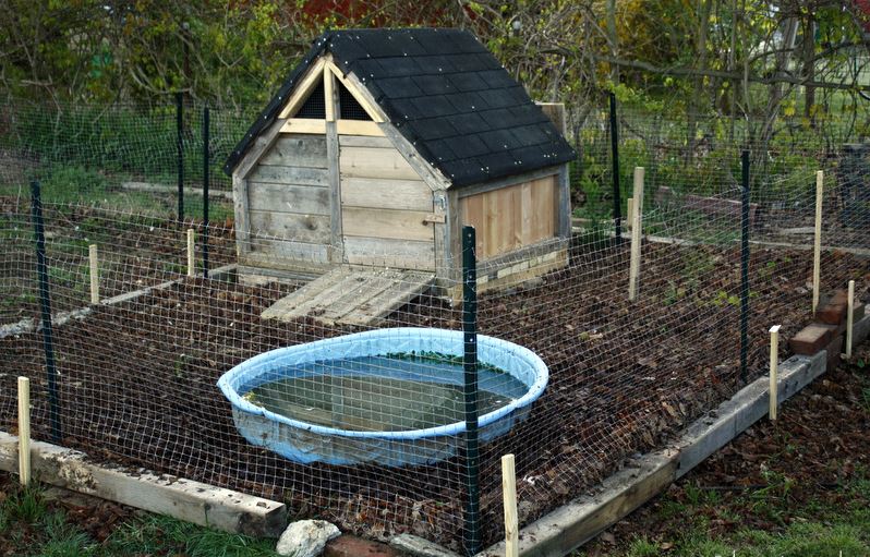 Recycled Duck House Plans