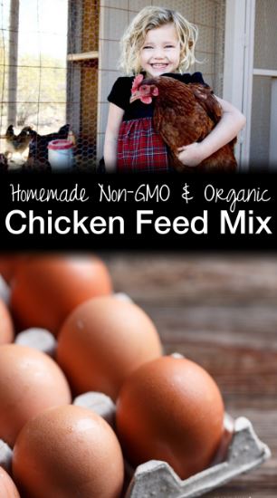 twenty-five-pound-organic-and-non-gmo-chicken-feed