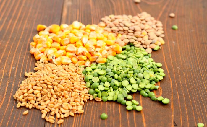 12 Homemade Feed Recipes-Give Your Chickens An Organic Diet