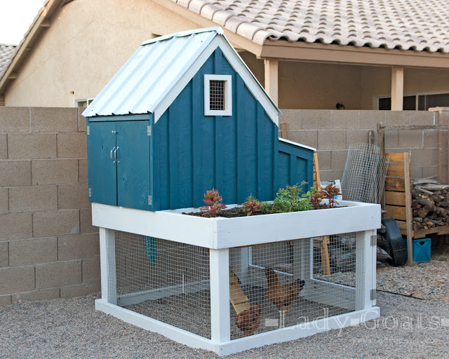 Chicken House Coop