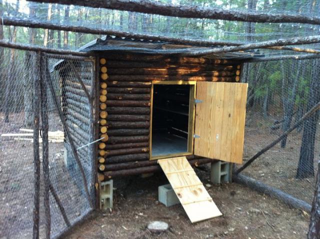 Log Cabin Chicken Coop