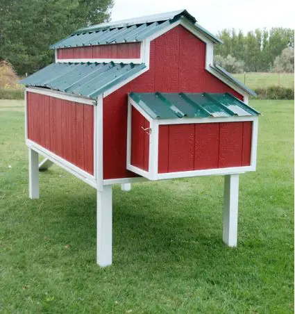 The Gambrel Roof XL Chicken Coop (9-12 chickens) - My Pet Chicken