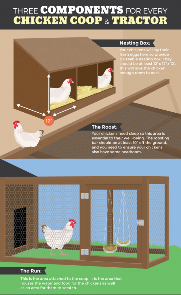 Backyard Chicken Tractor Plans