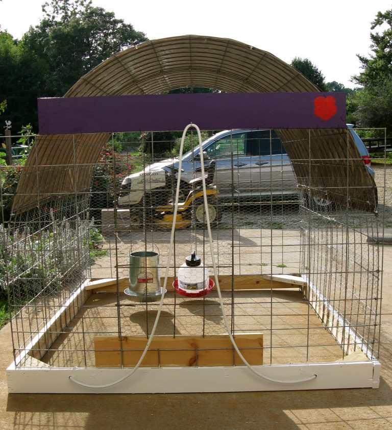 43 Chicken Tractor PlansBuilding A Coop For Your Precious Birds The Poultry Guide
