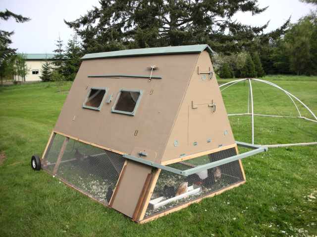 Enclosed A-Frame Chicken Tractor