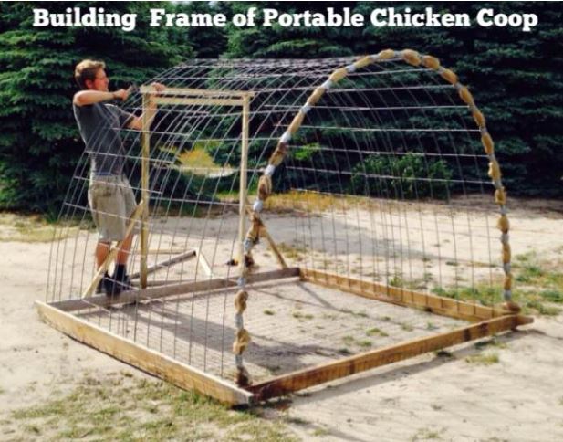 Hoop Chicken Coop