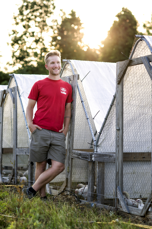 Money Making Chicken Tractor 