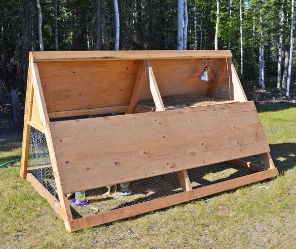 Small A-Frame Chicken Tractor