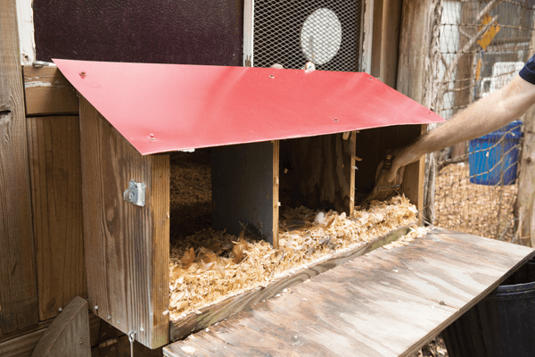Exterior Chicken Nesting Box