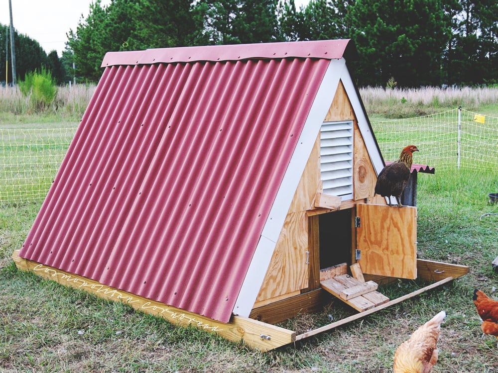 Movable Chicken Sled