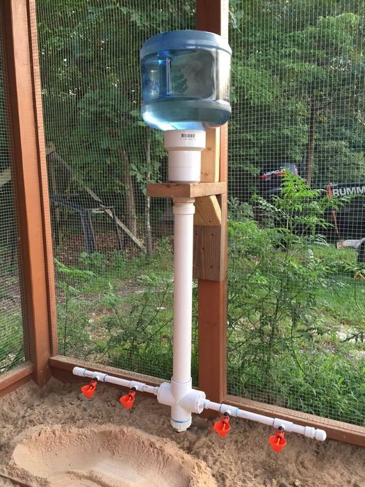 DIY chicken waterer